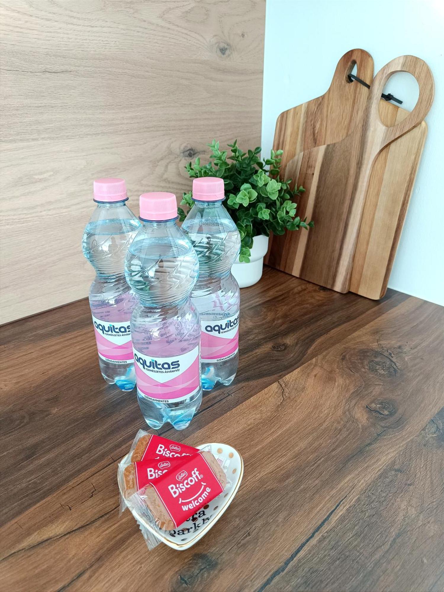 Modern Lux Home Szeged Ngoại thất bức ảnh